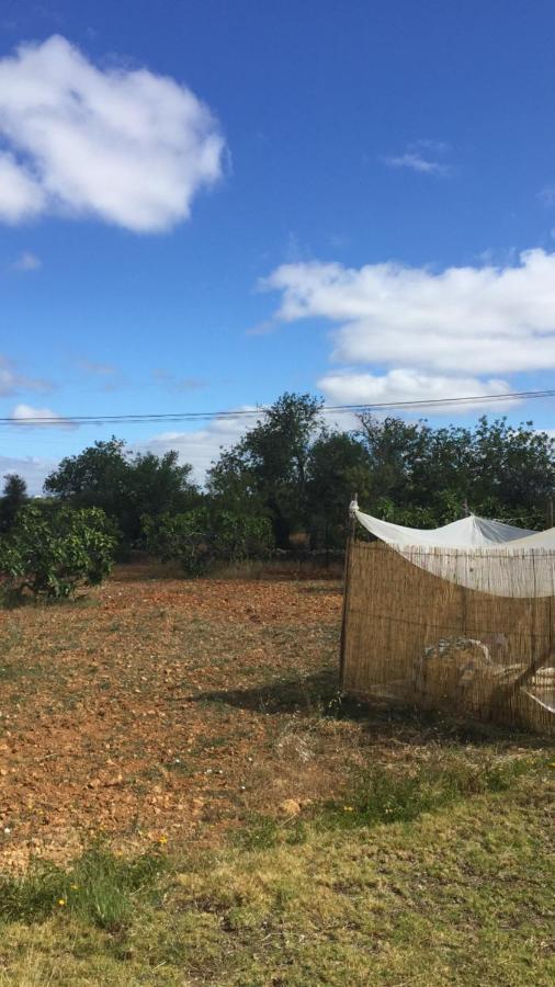 Vila Solar Da Cotovia Albufeira Exteriér fotografie