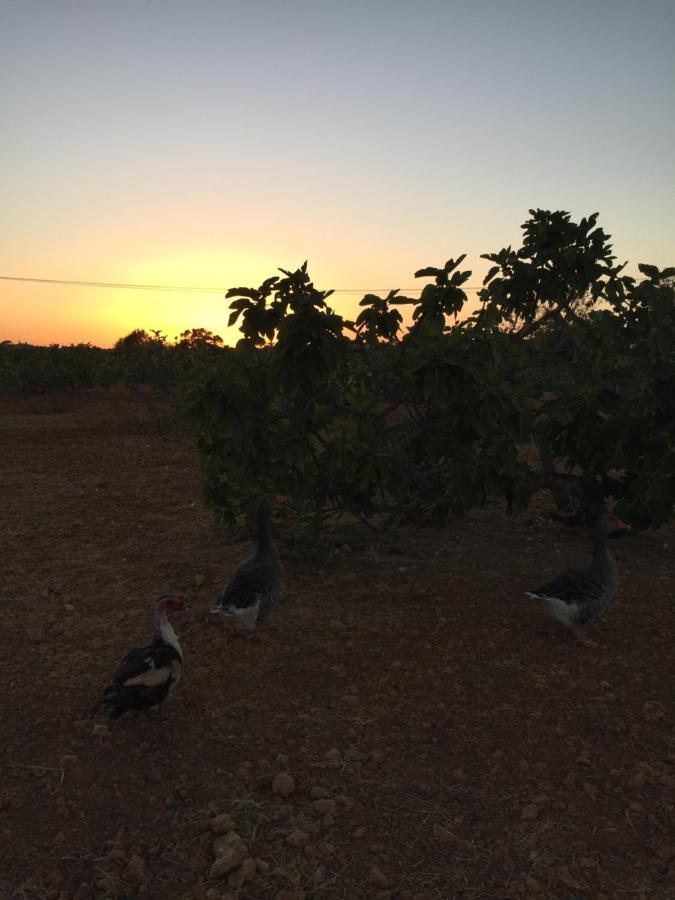 Vila Solar Da Cotovia Albufeira Exteriér fotografie