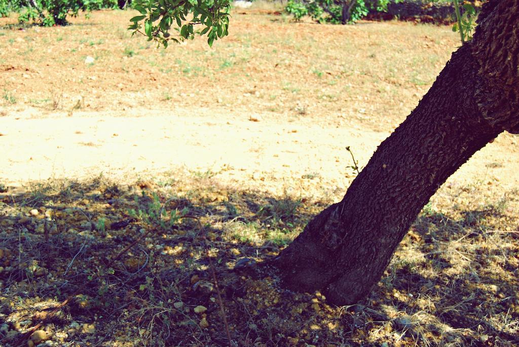 Vila Solar Da Cotovia Albufeira Pokoj fotografie